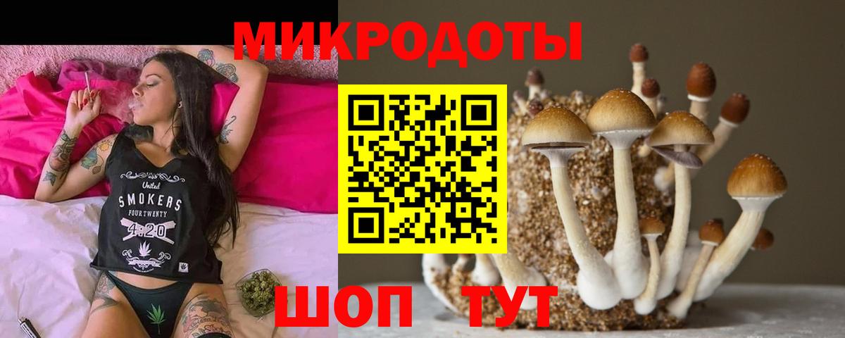 где купить наркотик  Псилоцибиновые грибы прущие грибы  Вход с VPN  Галлюциногенные грибы GOLDEN TEACHER  Трёхгорный 